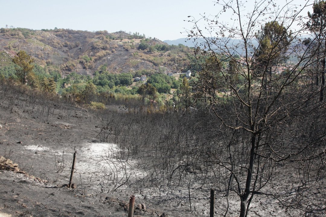 Eiroás/Cudeiro. 5-09-2015. El día después del incendio de Cudeiro. Paz