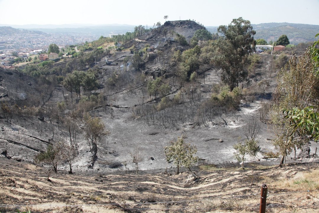 Eiroás/Cudeiro. 5-09-2015. El día después del incendio de Cudeiro.Vecino de Cudeiro afectado por el incendio.  Paz