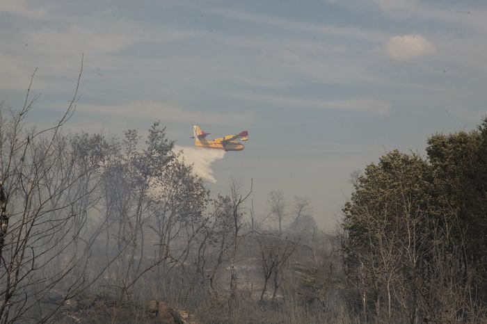 Madrosende, Vilar. 8-09-2015. Incendio en Madrosende. Paz