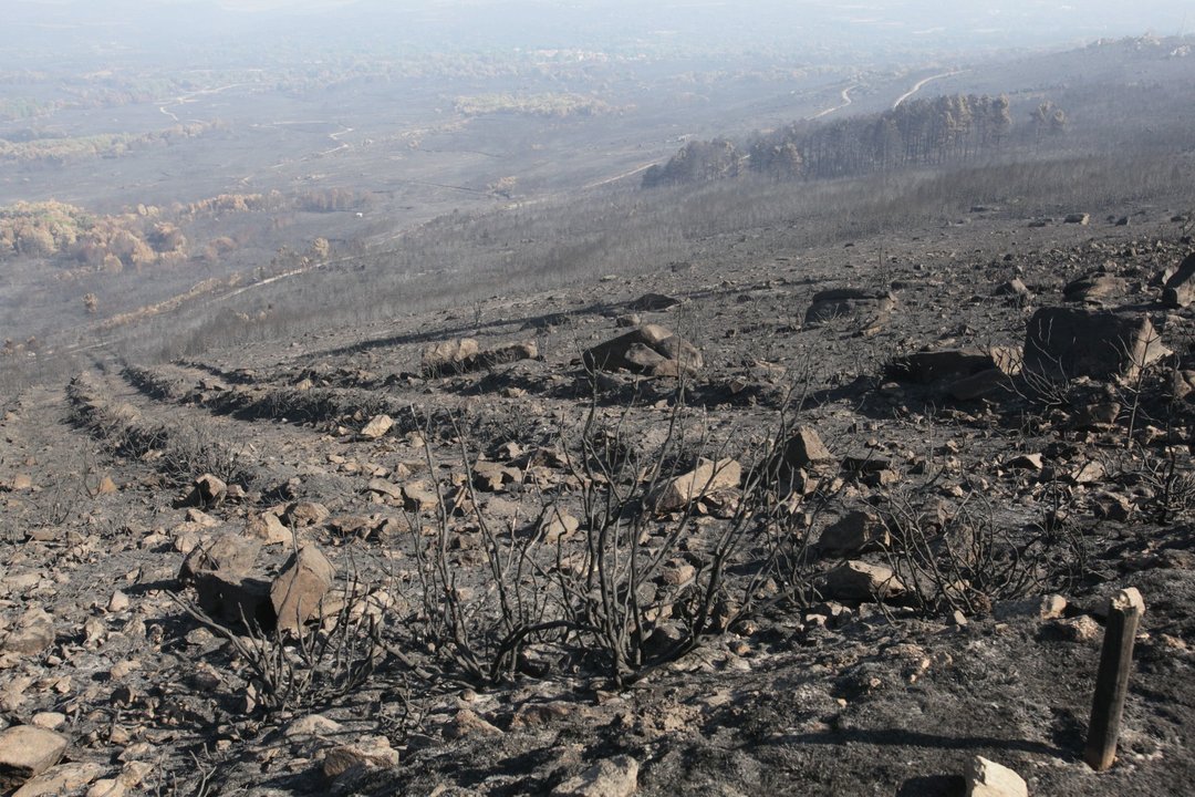 Baltar-Cualedro. 4-09-2015. Visita del presidente Núñez Feijo al área quemada en el incendio de Cualedro. Paz