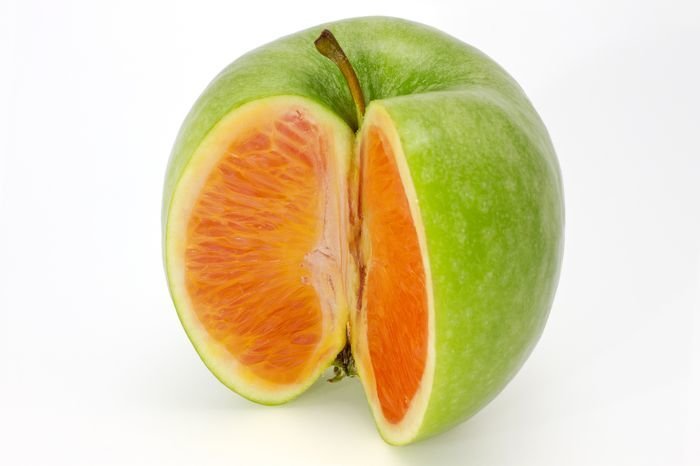 Photo manipulation:  green apple with orange content