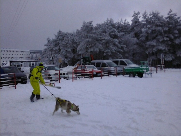 Un esquiador pasea a su perro por las inmediaciones de la estación de Manzaneda.