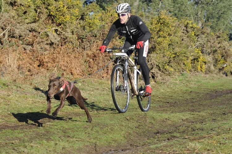 Uno de los participantes aprovechando el camino más limpio, con su perro tirando por la zona exterior en la competición de bikejoring.