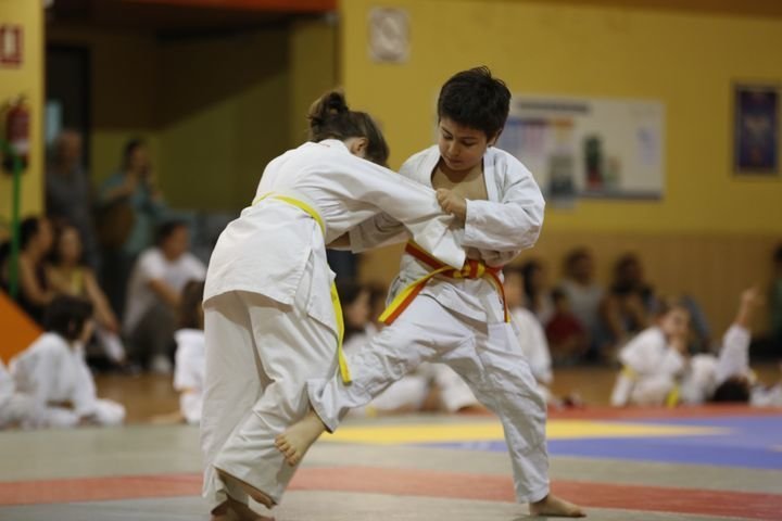 Ourense. 27-05-17. Deportes. Copa deputación de Judo no Paco Paz.
Foto: Xesús Fariñas
