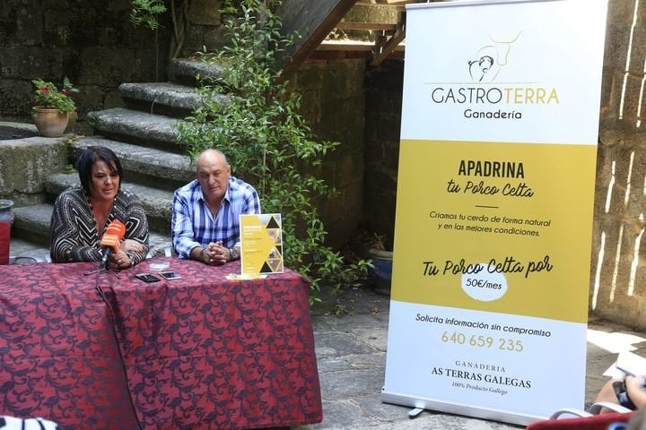 Ourense 18-8-2017 Maceda presentacion cerdo celta