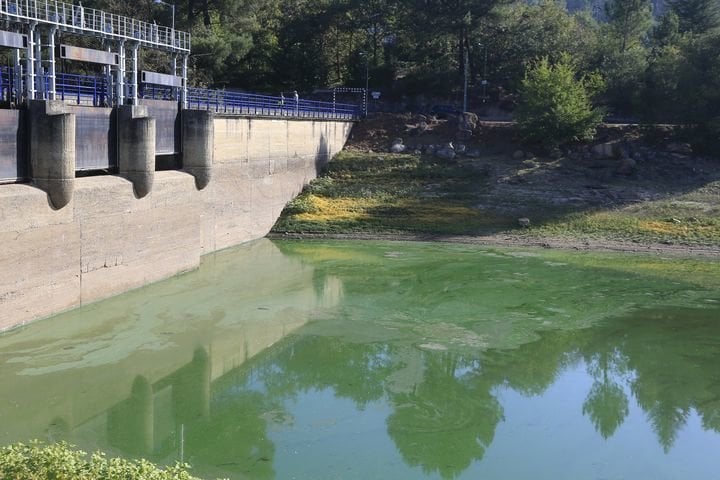 Ourense 10/9/2017, Emblase de Cachamuiña, ciano bacterias
