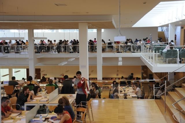 Estudiantes preparando la selectividad en la biblioteca del campus