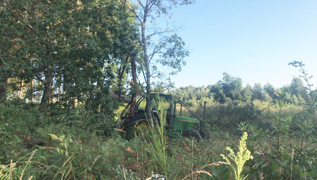 Un tractor trabajó ayer en la preparación del terreno, en Pereiras.