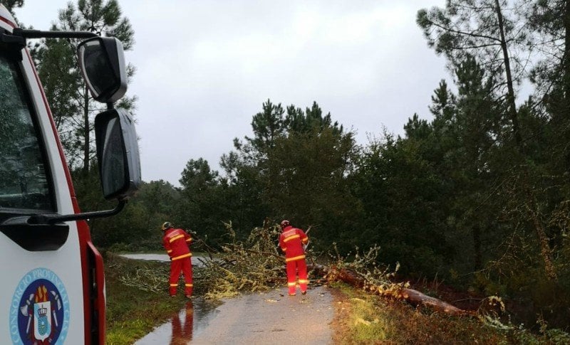 Los bomberos retiran un árbol caído en Punxín.