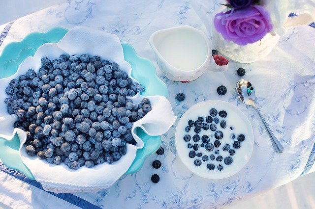 blueberries-1576409_640