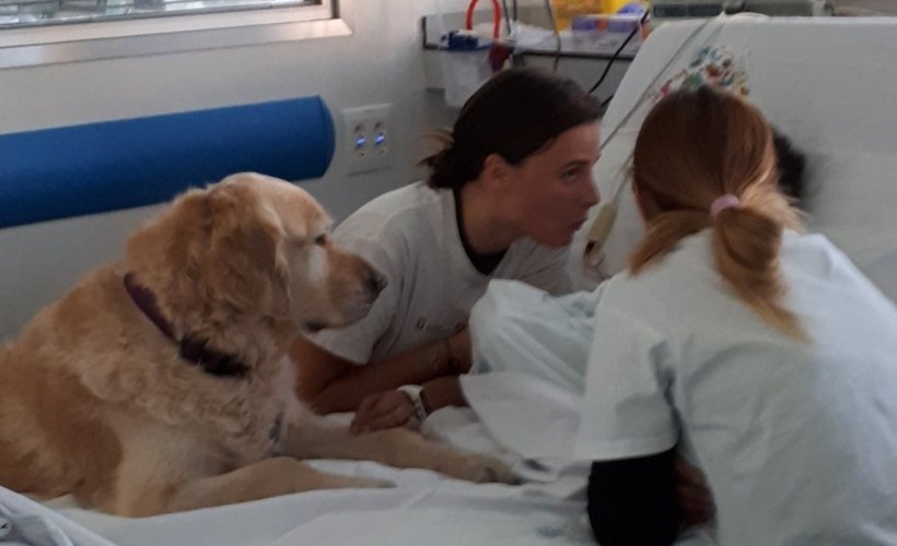 Zenit, el perro que alivia el dolor de los pacientes en un hospital madrileño.