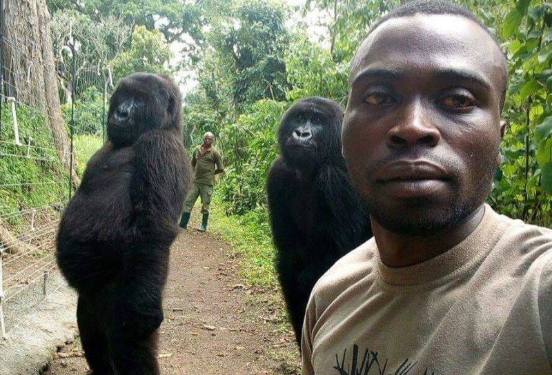 El selfie viral en un Parque Natural.