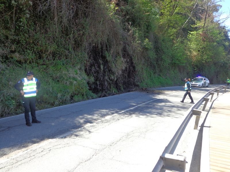 Policía Local y Guardia Civil regulan el tráfico de la carretera N-536.