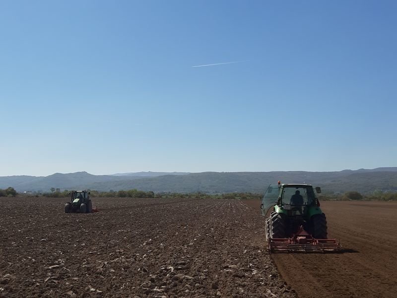 Tractores trabajando en la comarca de A Limia.