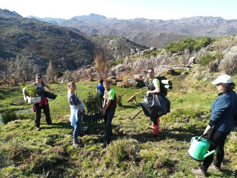 Un grupo de voluntarios durante a prantación de árbores do pasado mes de marzo.
