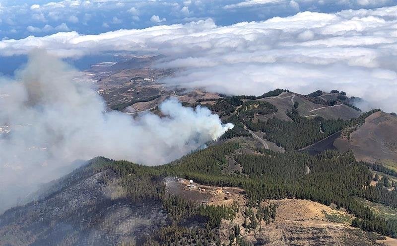 Vista aérea de una de las zonas afectadas por el incendio en la cumbre de Gran Canaria.