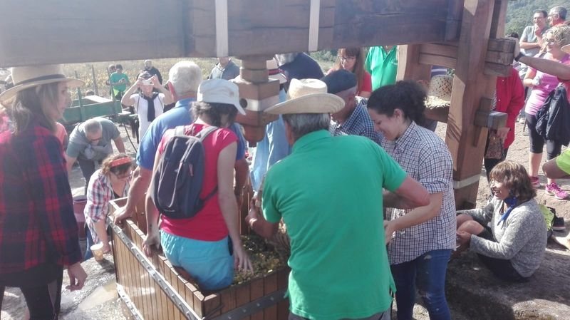 Decenas de personas participaron en el pisado de uvas en el Lagar de Xan Preto.