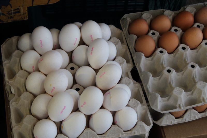 Huevos blancos en el mercado de Bolhao Porto_resultado