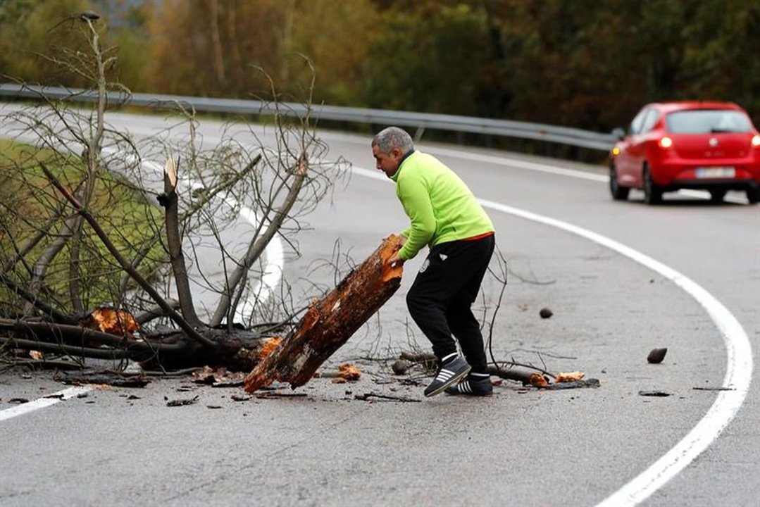 Un hombre retira un árbol caído en la carretera LU-530