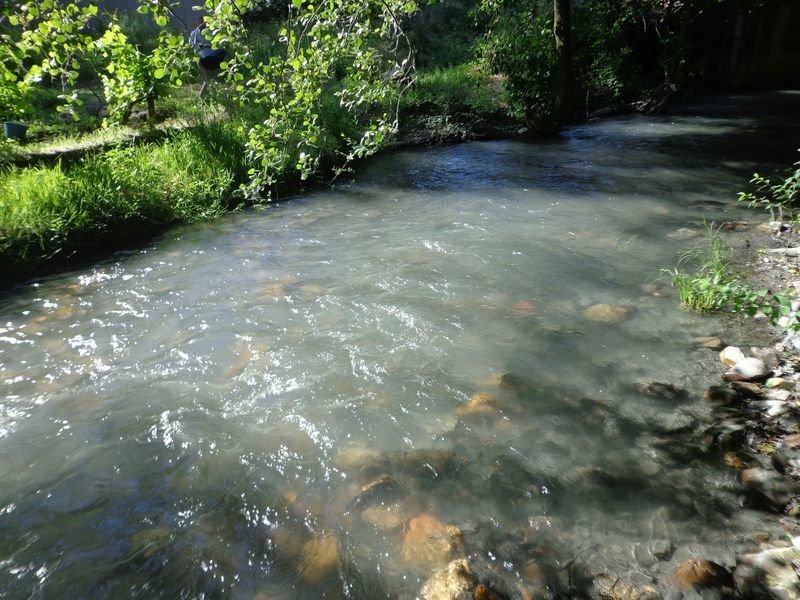 El río Leira, con al agua de color turbio, cuando los vecinos dieron la voz de alarma.