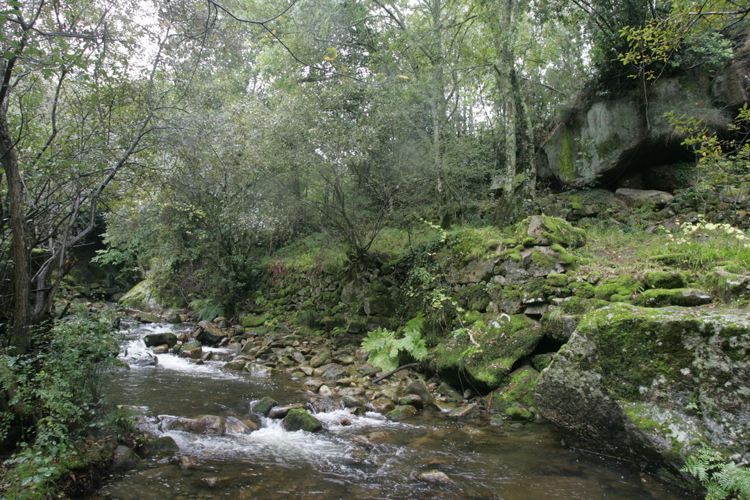 Los ríos son uno de los atractivos que posee el Concello de Padrenda.