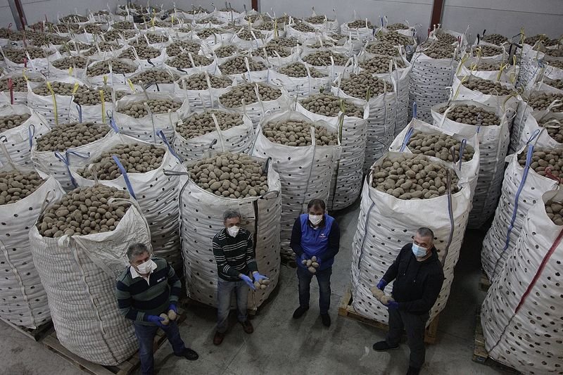 Grupo de productores de patata con los excedentes almacenados (MIGUEL ÁNGEL).