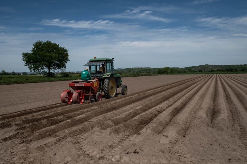 Un tractor trabaja en la siembra de patata de A Limia el pasado 5 de mayo.