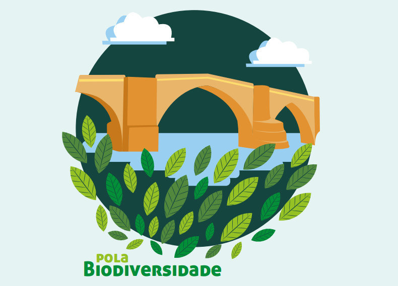Detalle de la portada de la guía sobre la biodiversidad del Miño, editada por el Concello.