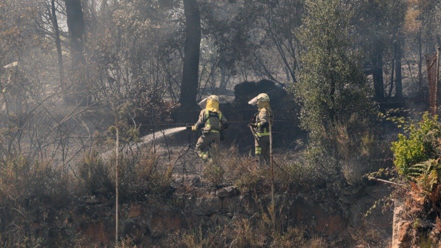 Los bomberos en uno de los incendios activos en Ourense (JOSÉ PAZ).