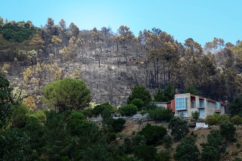 Pinos ardidos cerca de las viviendas de Canibelos. El fuego permanecía activo ayer (MARTIÑO PINAL).