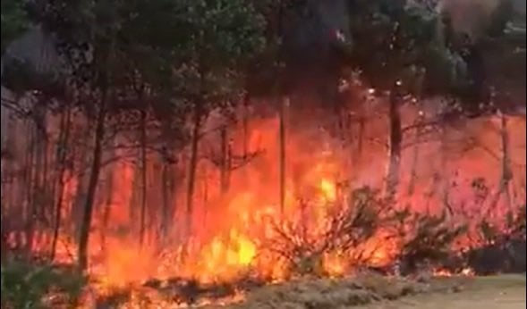 Las llamas en el incendio de Viana do Bolo.