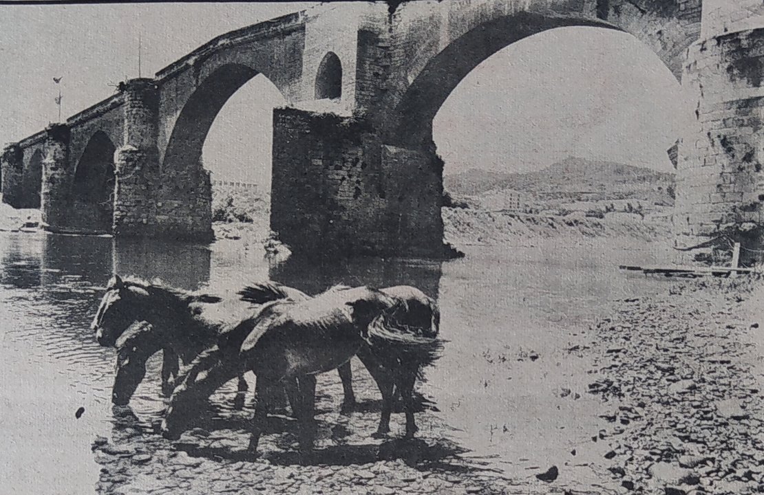 Los caballos, abrevando en las inmediaciones del Puente Viejo. (Foto: Reza)