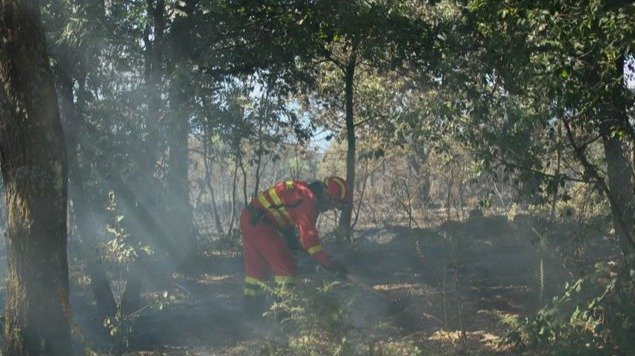 Uno de los bomberos forestales que participa en la extinción de fuegos este verano (ARCHIVO).