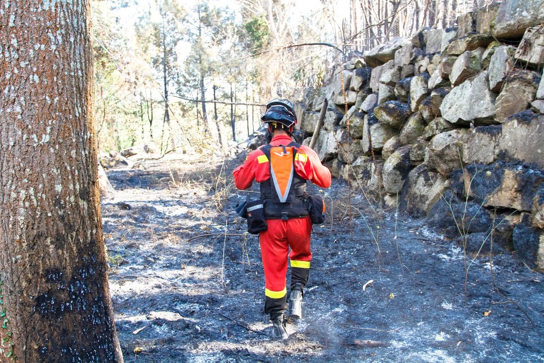 Un militar de la UME inspecciona la zona del incendio tras las labores de extinción (ANDRÉS CACHALVITE).