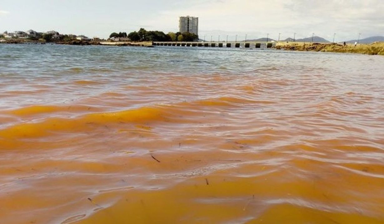 El agua, de color anaranjado, en la isla de Toralla, el miércoles por la tarde