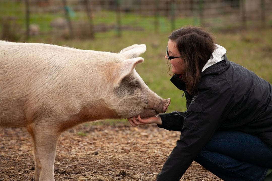 Una mujer acaricia a un cerdo en un santuario de animales. (Foto: Unsplash)