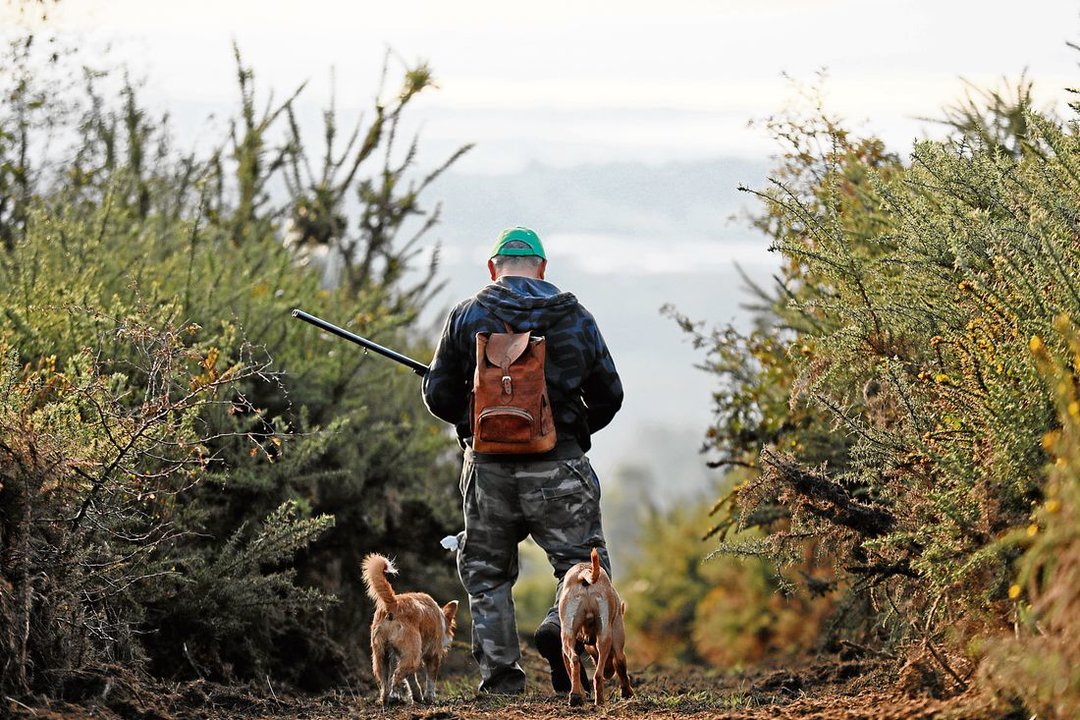 Un cazador junto a dos perros en los montes de Corneda (O Irixo) en el primer día de caza en Galicia. (Foto: José Paz)