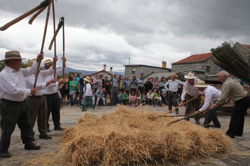 Celebración de la malla en las fiestas etnográficas de Puxedo (MARCOS ATRIO).