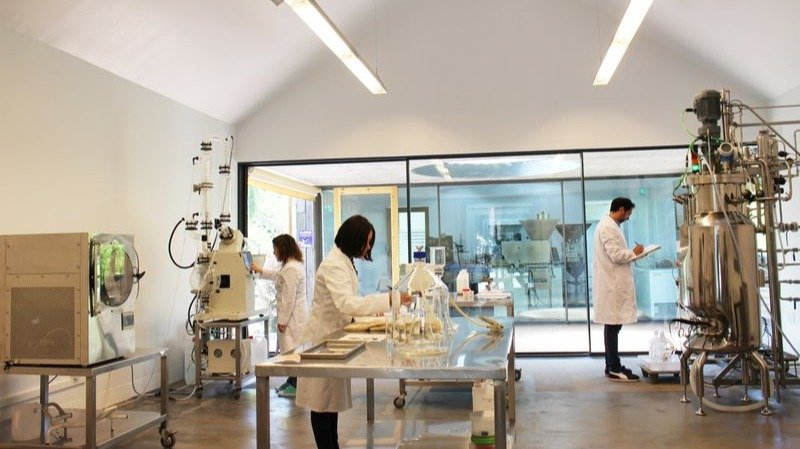 Investigadores de Hifas da Terra, en uno de sus laboratorios gallegos.