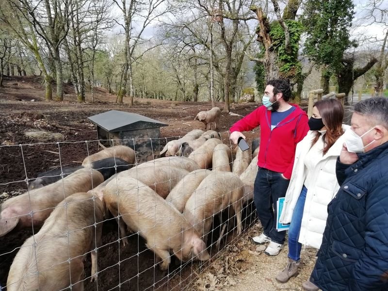 Inés Santé y José Manuel Rodríguez, en la explotación de "porco celta", en la aldea de Osmo.