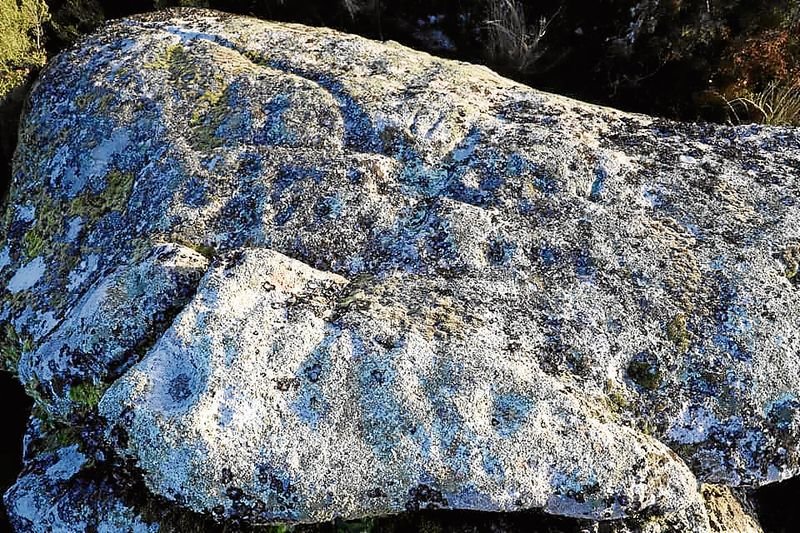 Los petroglifos documentados en el monte de Lameiras.