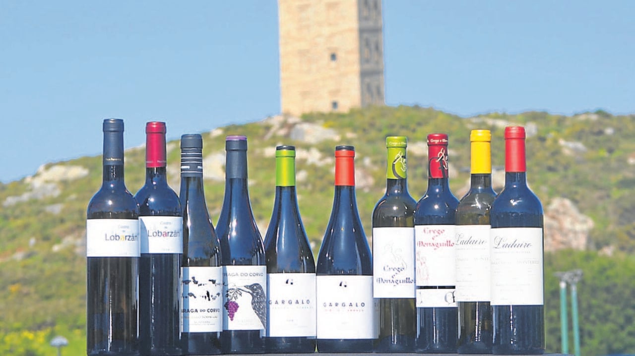 Algunos de los caldos que se pudieron degustar en el túnel del vino de Monterrei en A Coruña.