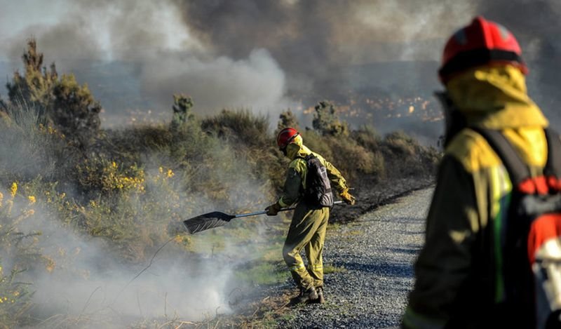 Bomberos forestales en un incendio de años anteriores (ARCHIVO)