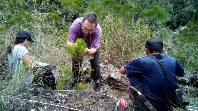 Celestino Quintela, realizando trabajo de campo en Sabah, en la zona norte de la isla de Borneo, en Malaisia.