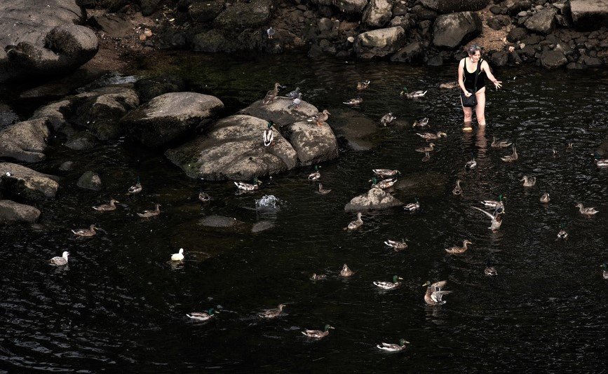 Una mujer alimentando a los patos del río Miño. FOTO: ÓSCAR PIÑAL