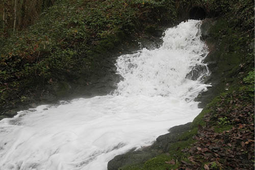 Cauce del río Barbaña en el tramo de la salida de la depuradora de San Cibrao.