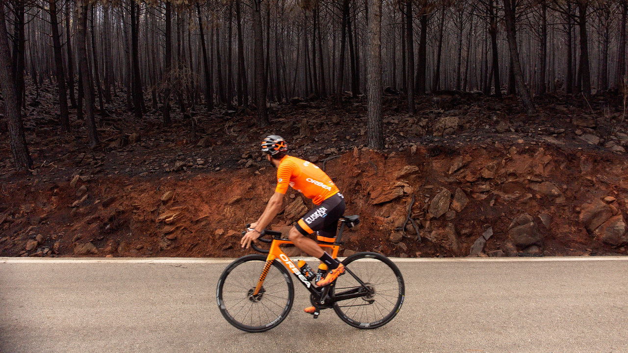 Un ciclista observa los pinos quemados en Estepona. 