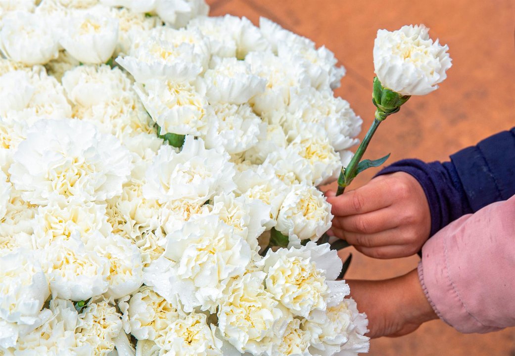 Flores en recuerdo del niño de 9 años asesinado en Lardero. // EFE