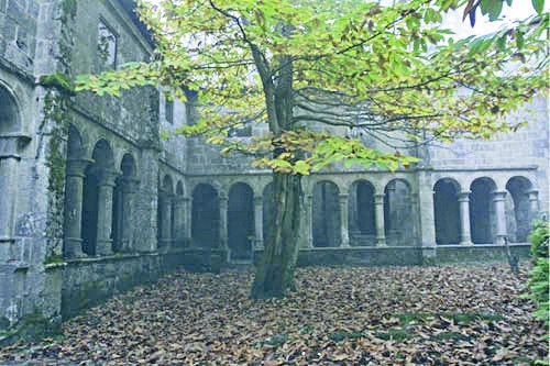 Monasterio de Santa Cristina de Ribas de Sil.