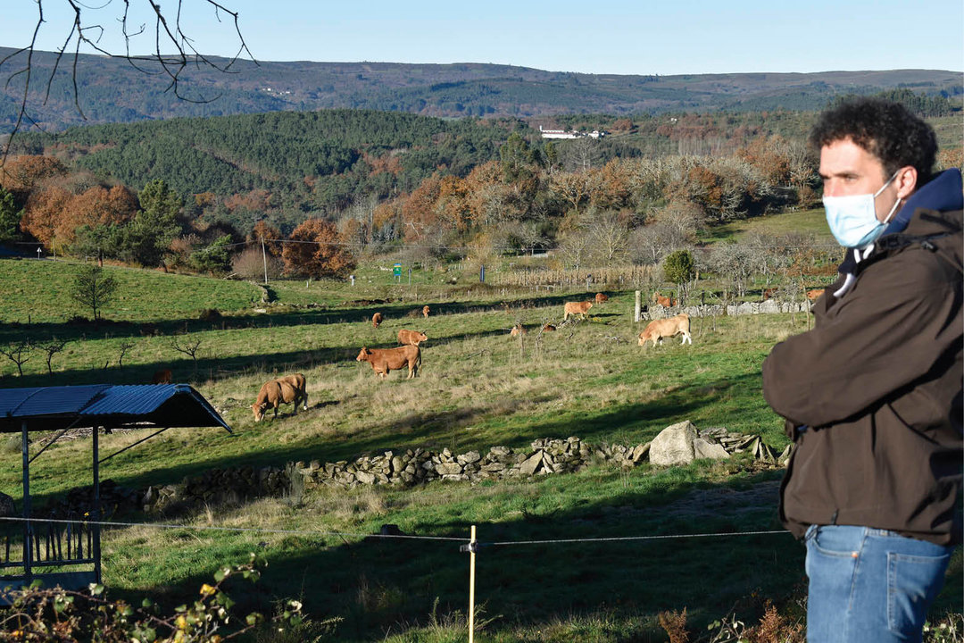 José Antonio Conde con sus vacas en las fincas de la aldea de Pieles.